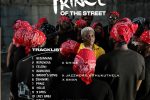 Ayo Maff - Prince of The Street (Album)
