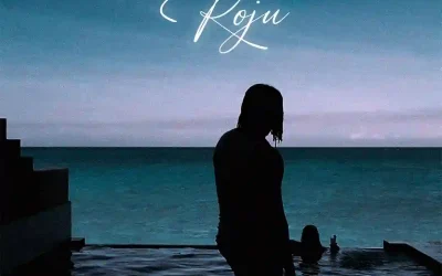 Crayon – Roju